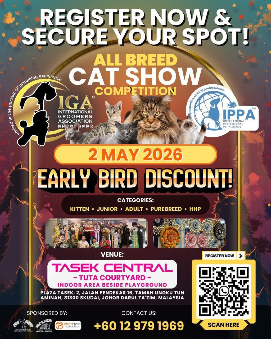 CAT SHOW
